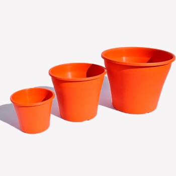 Redonda Ivana satinada